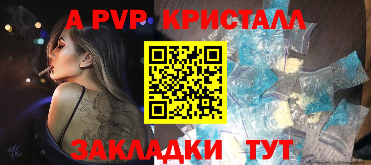 A-PVP СК Новодвинск