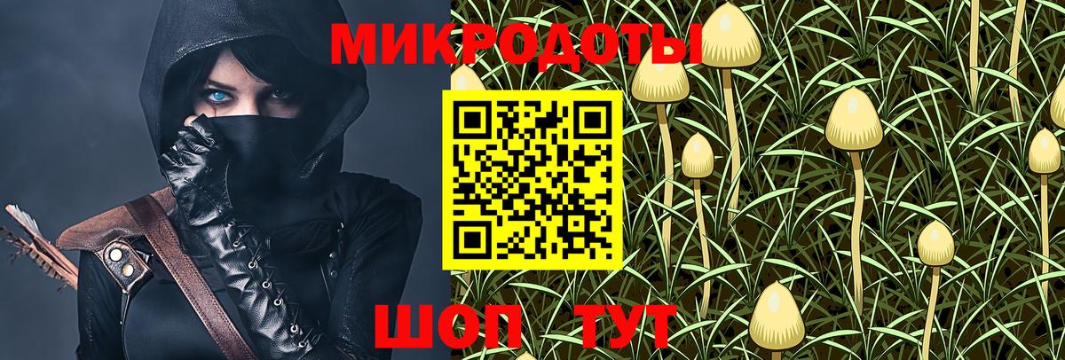 Псилоцибиновые грибы мицелий Новодвинск