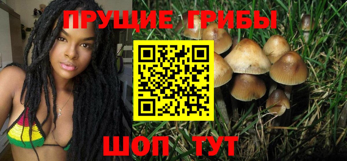 Новодвинск  Галлюциногенные грибы Magic Shrooms  где найти наркотики  Вход с VPN 